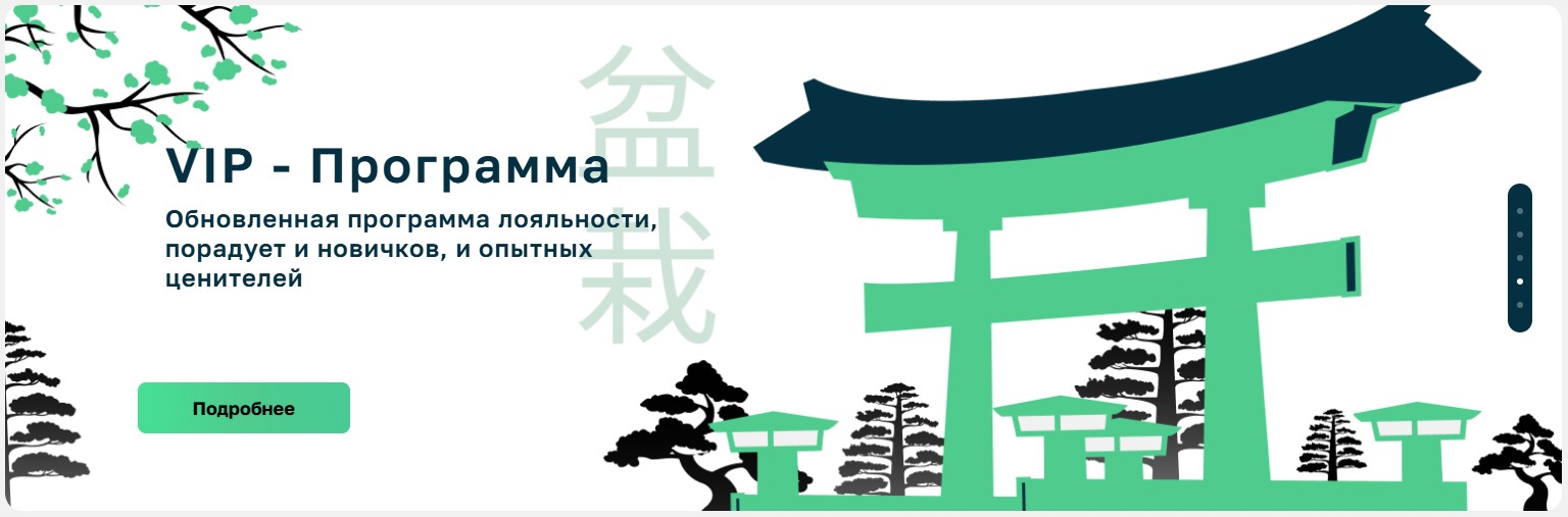 Бонсай Казино зеркало